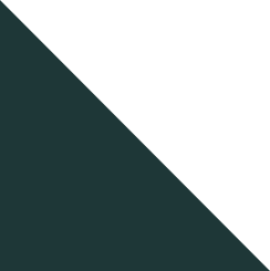 main-slider-two-shape-1